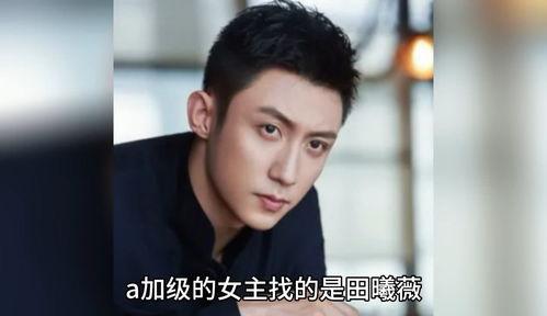 娱乐圈八卦吃瓜爆料金晨